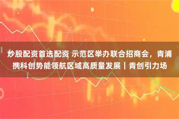 炒股配资首选配资 示范区举办联合招商会，青浦携科创势能领航区域高质量发展｜青创引力场