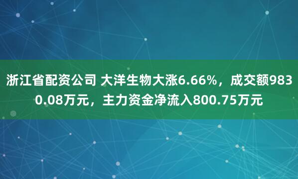 浙江省配资公司 大洋生物大涨6.66%，成交额9830.08万元，主力资金净流入800.75万元
