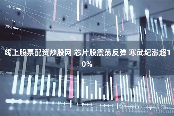 线上股票配资炒股网 芯片股震荡反弹 寒武纪涨超10%